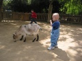 Bradley's first trip to the zoo