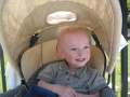 Bradley in his chariot