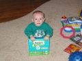 boy in a box