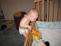 Bradley also likes to climb...