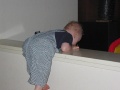 Okay, just like last time, pretend you're looking over the wall.