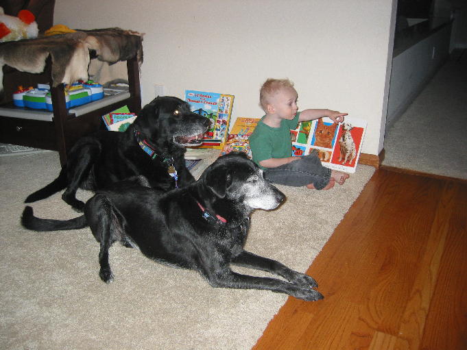 Hey, there's milk-bones falling out of the cabinet