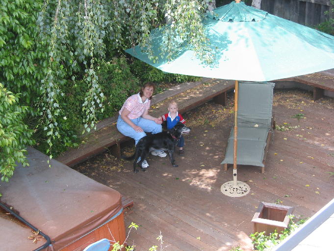 Mommy, why is daddy on the roof?