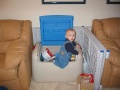 Hey, if I play with the toys in the box, I don't have to put them away later...