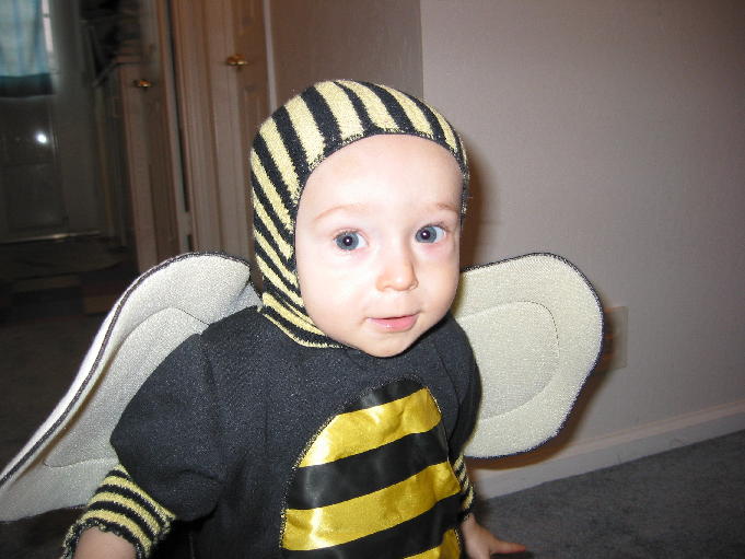 Buzzing around at Halloween
