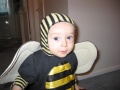 Buzzing around at Halloween